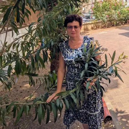 Bella, 70חיפה 