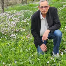 תמונה אלי 2 