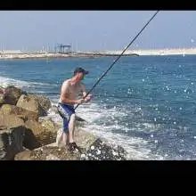 תמונה Haim 4 