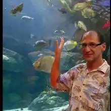 תמונה Simon 1 