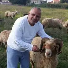 תמונה דיין 1 אוהב בעלי חיים
