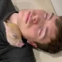 תמונה Alex 1 