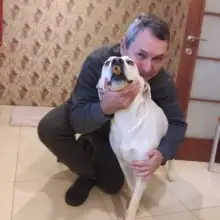 תמונה David 1 