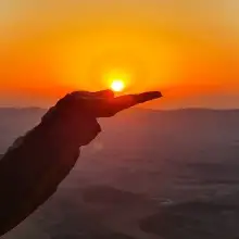 תמונה זיו 2 