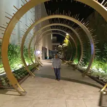 תמונה Peli 3 
