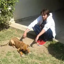 תמונה Igor 1 