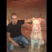 תמונה Sasha 2 