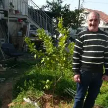 תמונה Itshak 1 